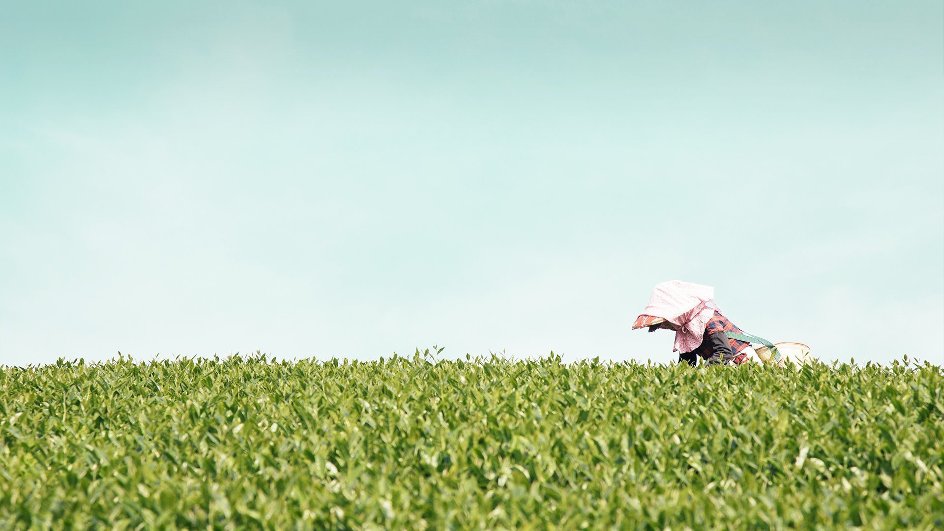 banner2